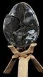 Septarian Dragon Egg Geode - Black Crystals #40936-1